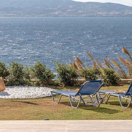 Dionysus House And Ariadne Apartment Stelida  Luaran gambar