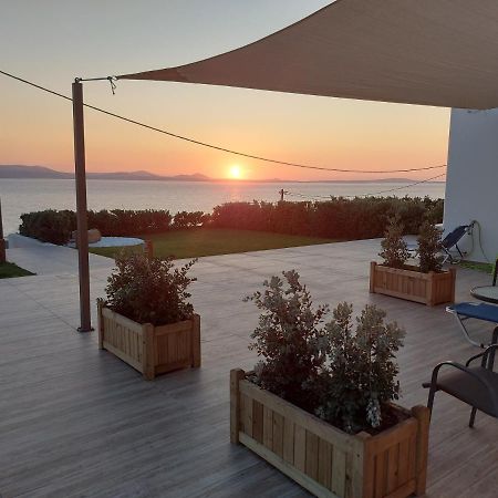 Dionysus House And Ariadne Apartment Stelida  Luaran gambar